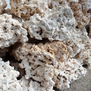 Skała koralowa Marco Rocks