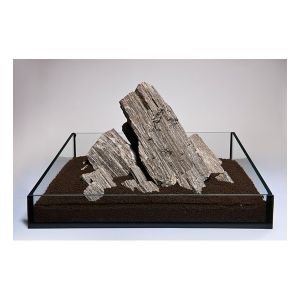 Kamienie Wood Stone (Wood Stone)
