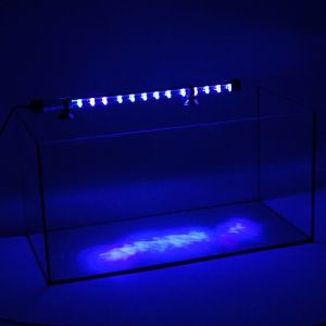 Oświetlenie nocne LED 38cm - Niebieskie BM-38 (oswietlenie)
