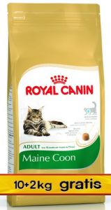 Royal Canin Feline Breed Maine Coon 31 PROMOCJA 12kg (10+2kg)