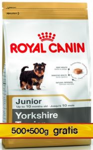Royal Canin Yorkshire Terrier 29 Junior 1kg (500+500g)