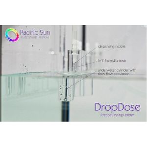 pacific-sun-kore-5th-dropdose